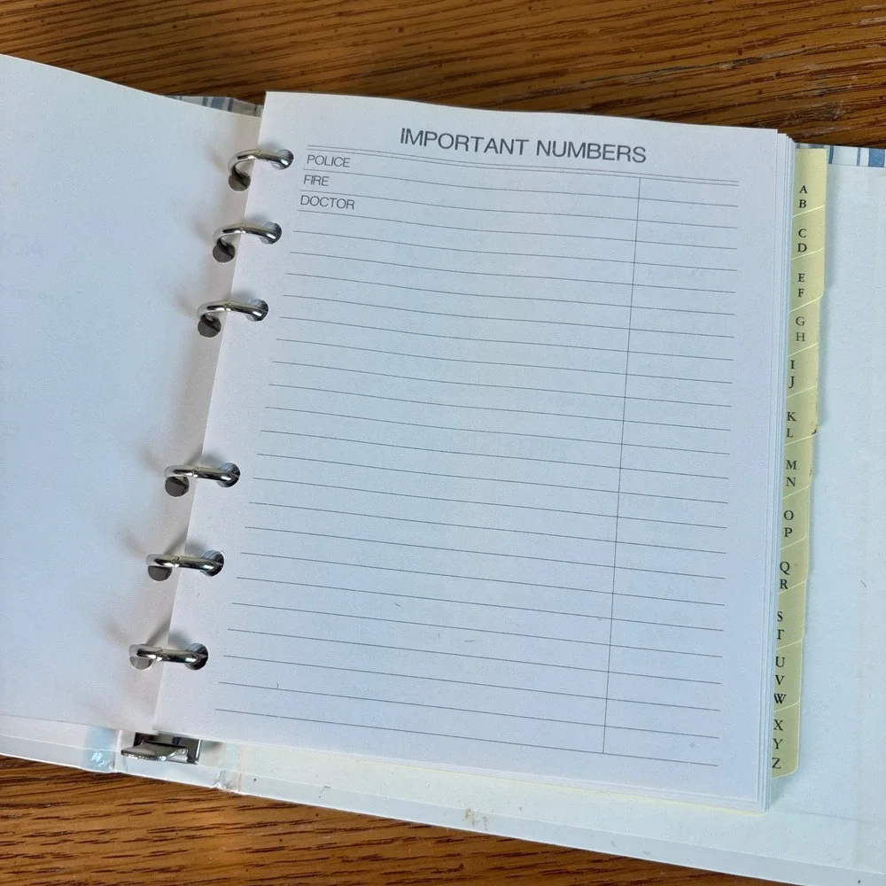 Vintage Apple Print Address Book 6 Ring Binder Organizer Blue White Stripe 90s